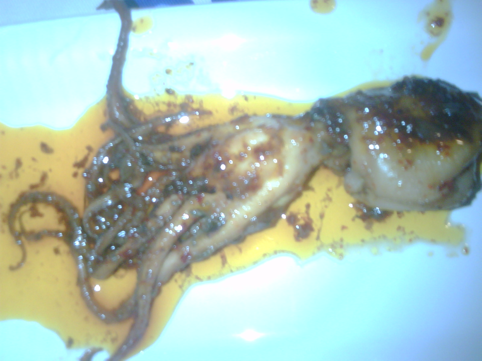 polpette pesce